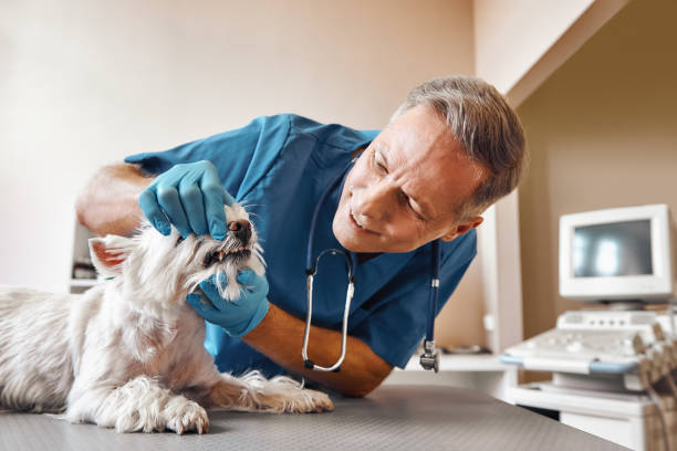 Best After-Hours Dental Trauma Care in Sandy Springs, GA